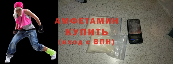 прущие грибы Новодвинск