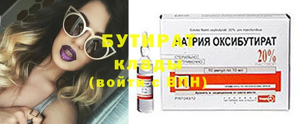твердый Новозыбков