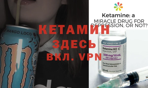 прущие грибы Новодвинск