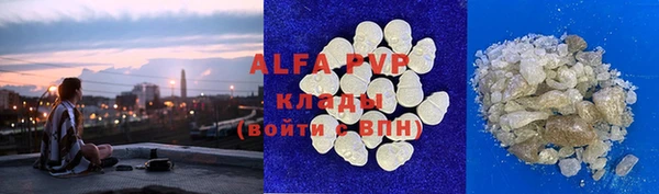 прущие грибы Новодвинск