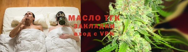 прущие грибы Новодвинск