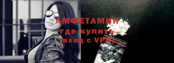 прущие грибы Новодвинск