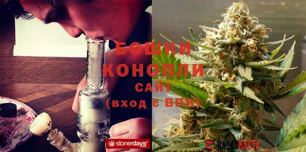твердый Новозыбков
