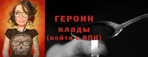 прущие грибы Новодвинск