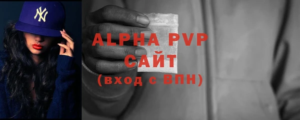 прущие грибы Новодвинск