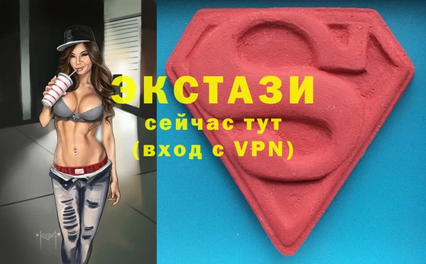 твердый Новозыбков