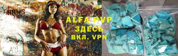 твердый Новозыбков