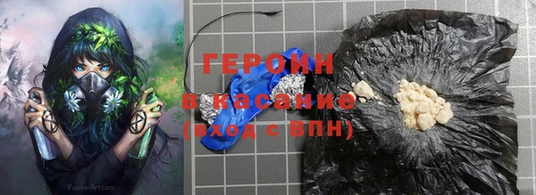прущие грибы Новодвинск