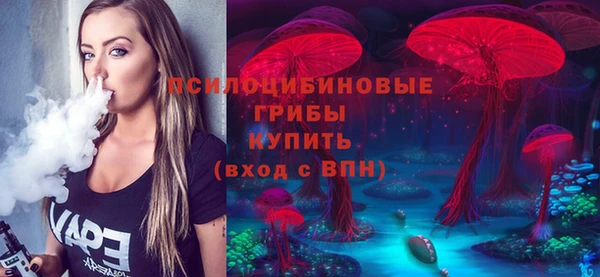 твердый Новозыбков