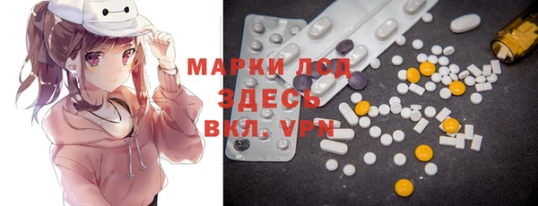 прущие грибы Новодвинск