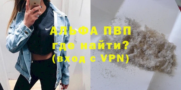 твердый Новозыбков