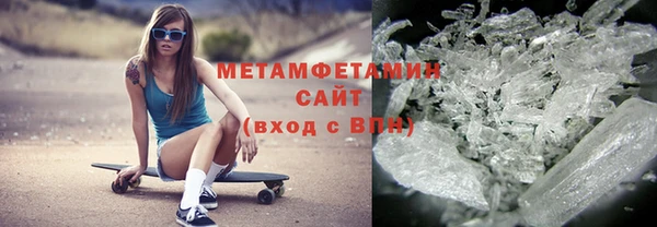 прущие грибы Новодвинск
