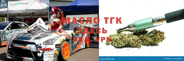 прущие грибы Новодвинск