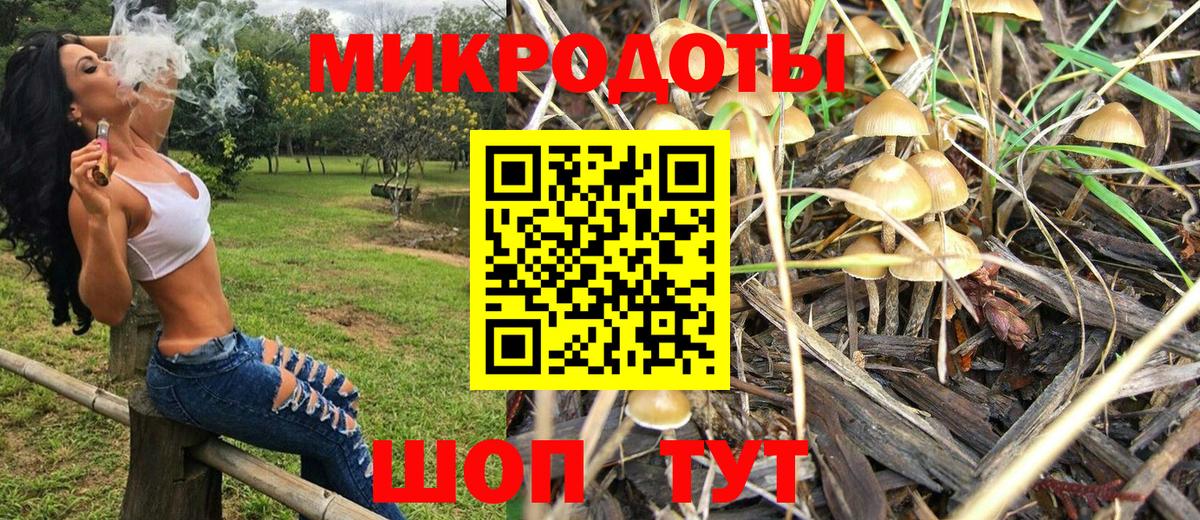 Галлюциногенные грибы Psilocybe  Галлюциногенные грибы мухоморы  Вход с VPN  Благовещенск 